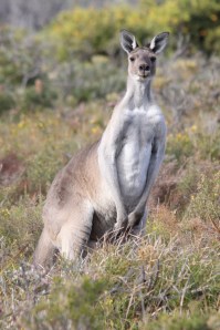 20140305-IMG_2769-resize