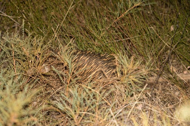 20160212-102A3881-resize-3