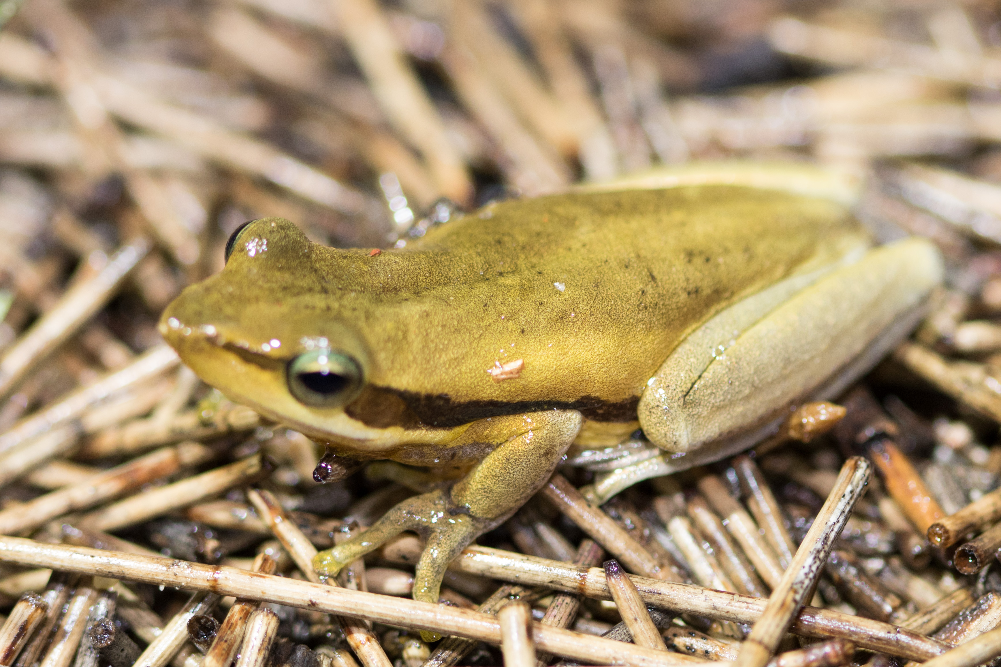 20160612-102A4317-resize