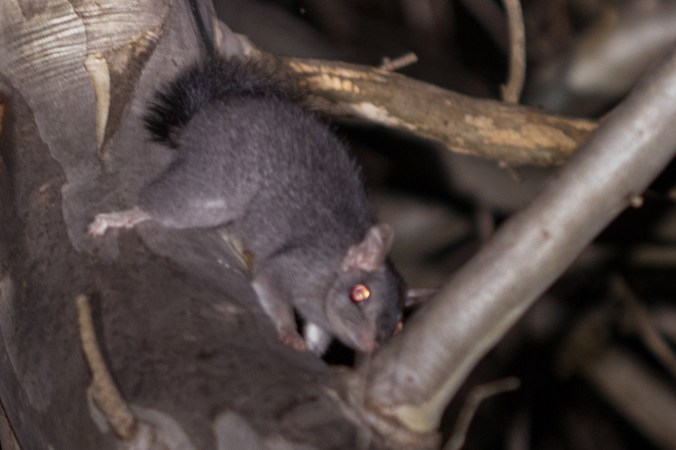 20160511-102A4175-resize