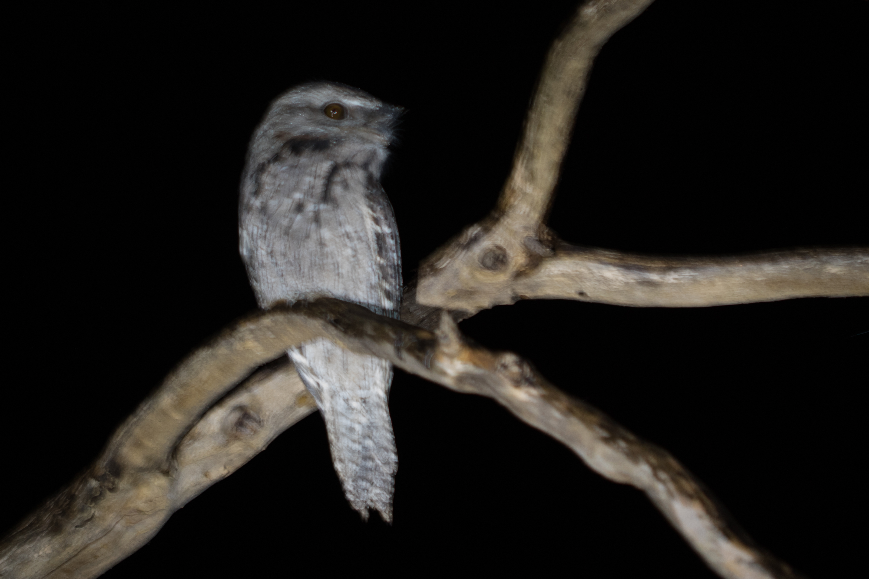 20160522-102A4190-resize