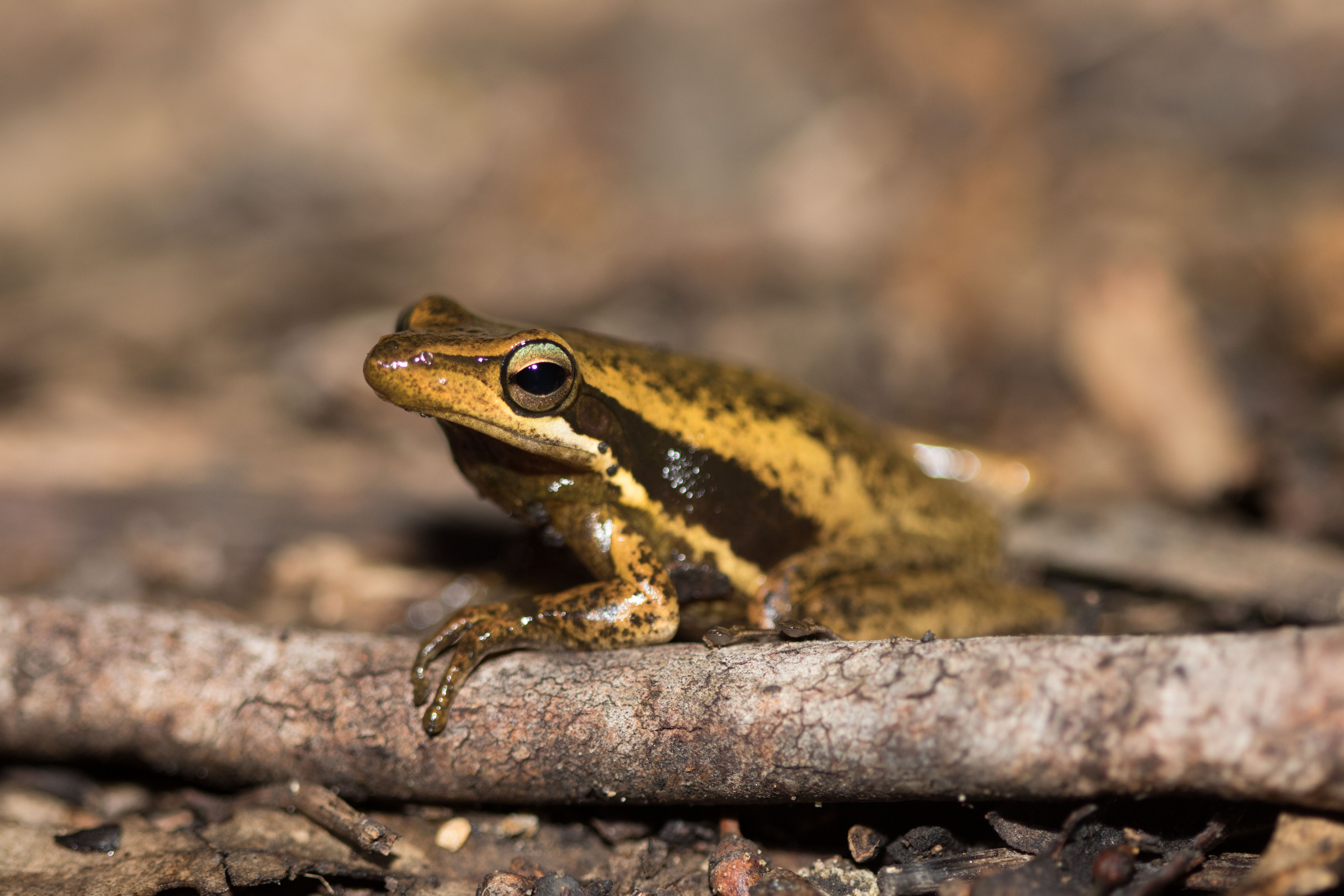 20160622-102A4365-resize