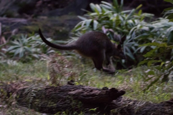 20160710-102A4379-resize