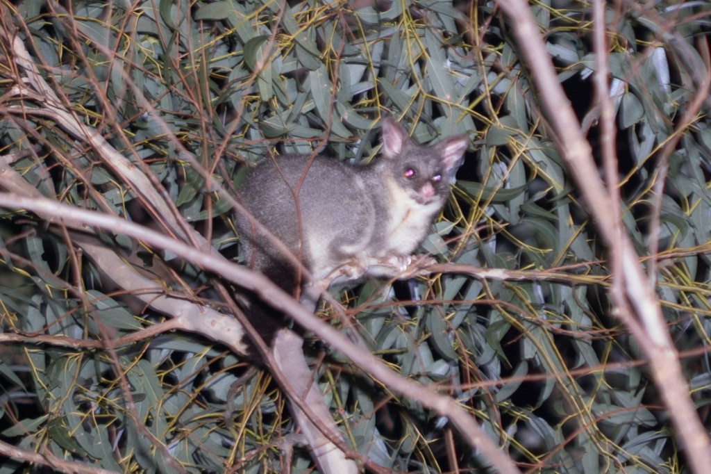 Exploring Ferguson Valley
