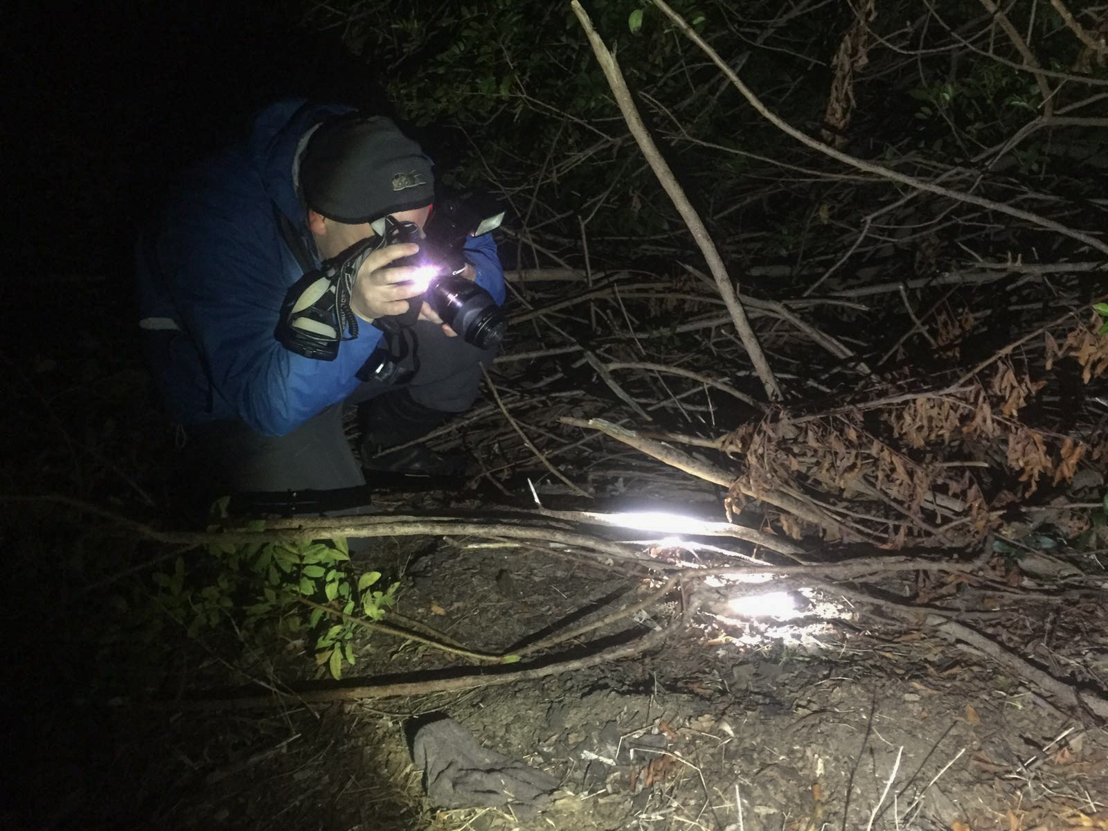 20160925-img-20160924-wa0000