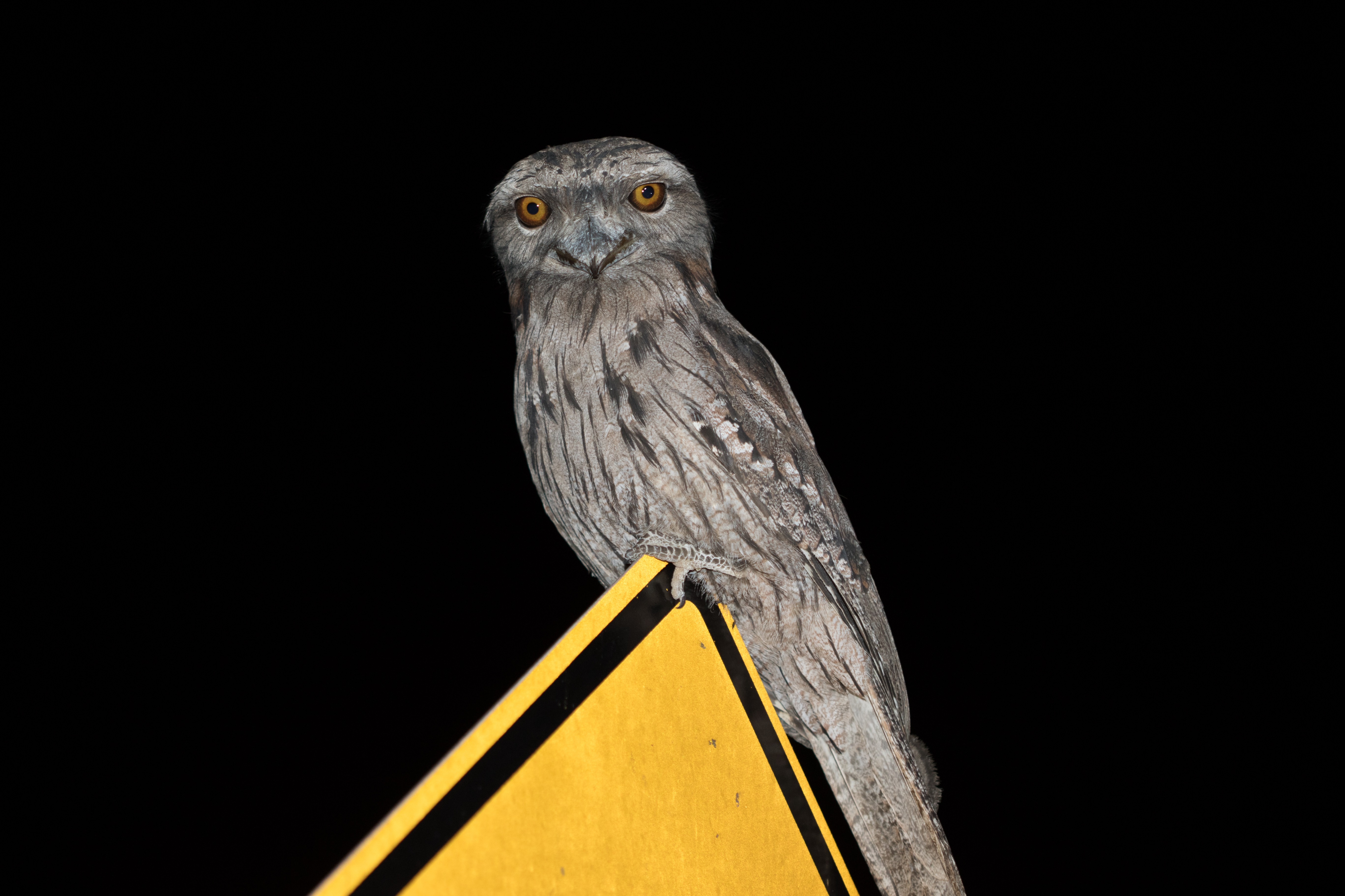 20161221-102a6482-resize