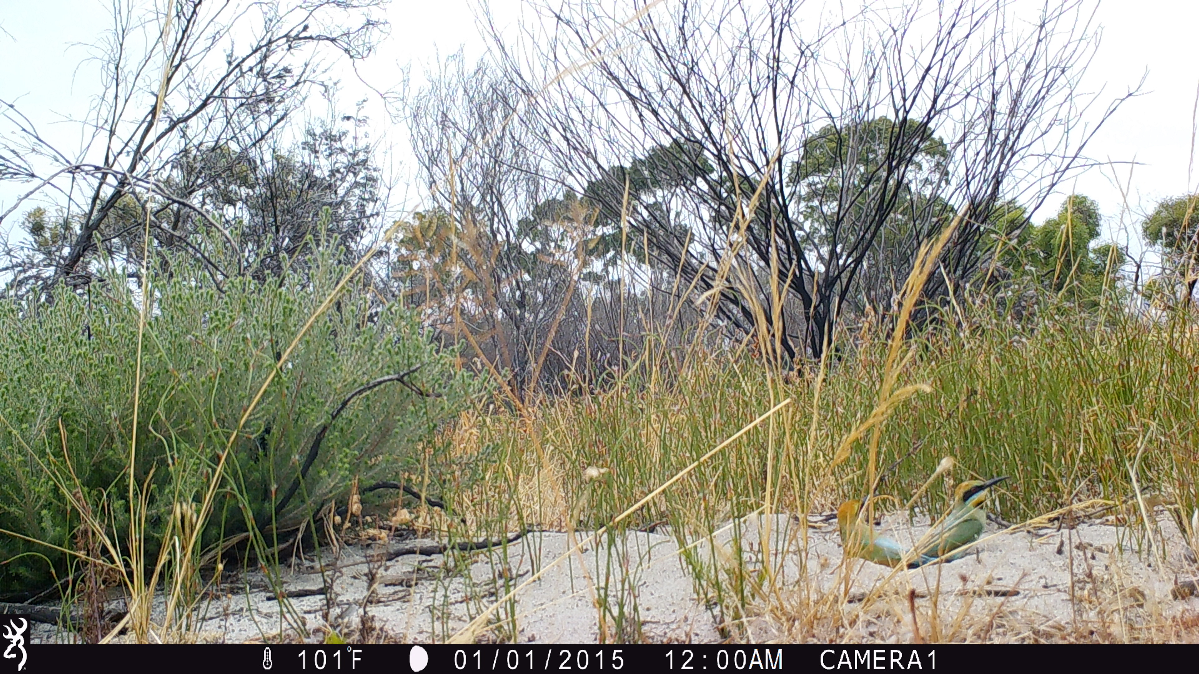 0000:010115:101F:0000:CAMERA1:3