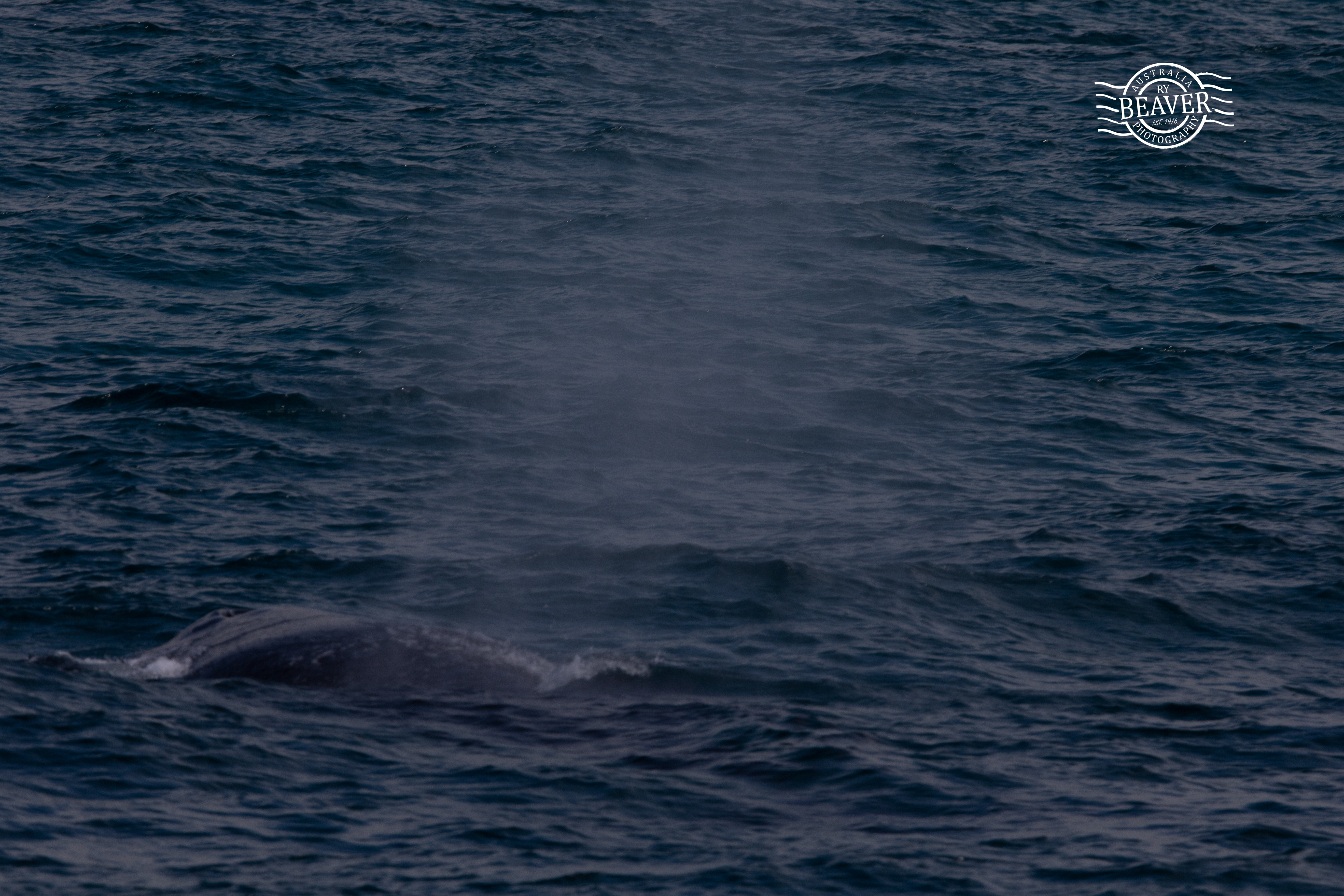 20180924-102A0036-resize