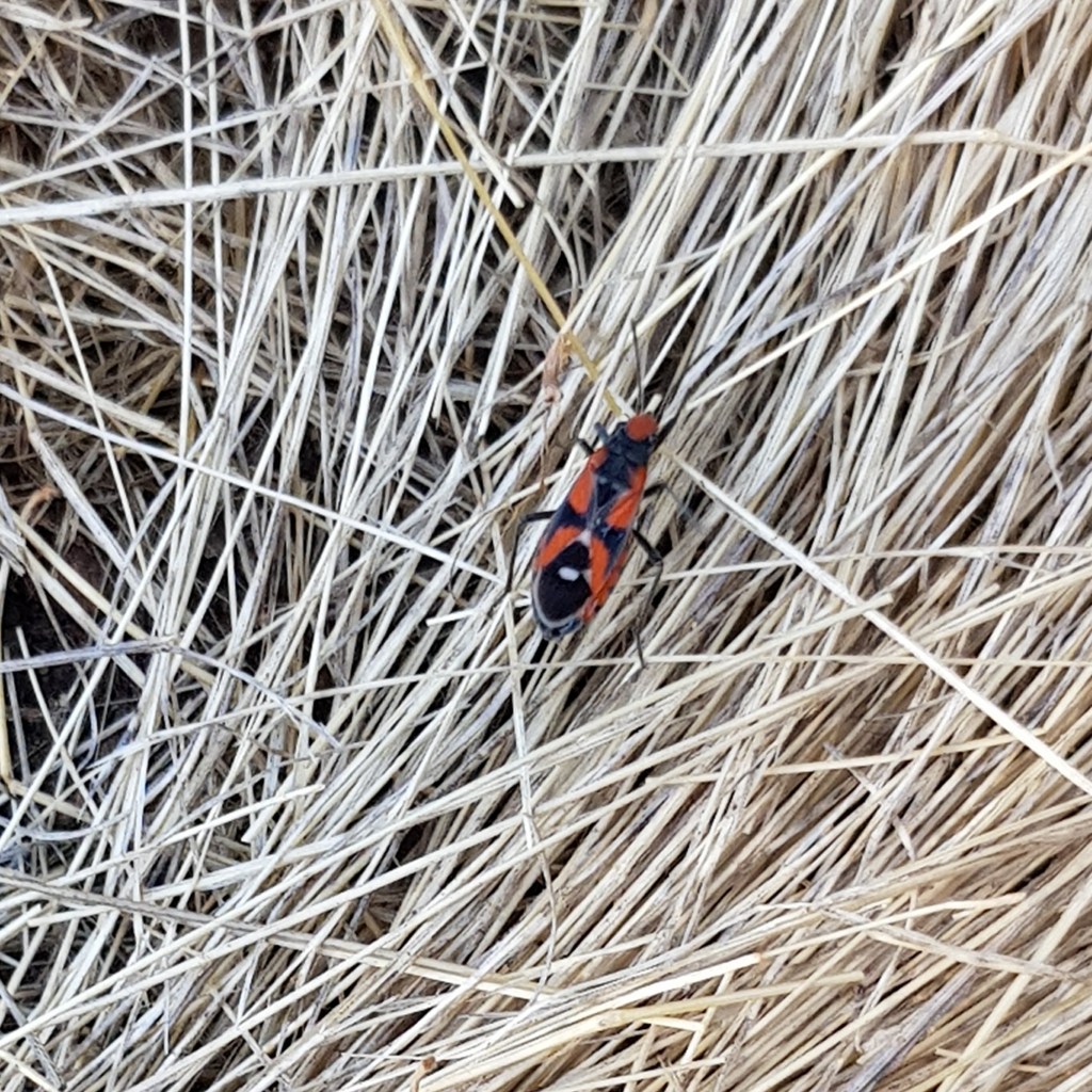 20190304-2019-03-04 08.35.22